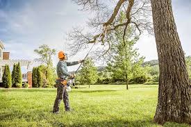 Trusted Nicholson, GA Tree Removal and Landscaping Services Experts